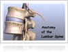 Get to Know the Anatomy of Your Lumbar Spine