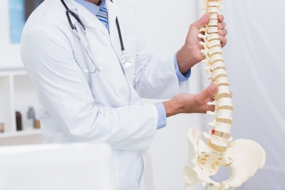 doctor holding model of spine